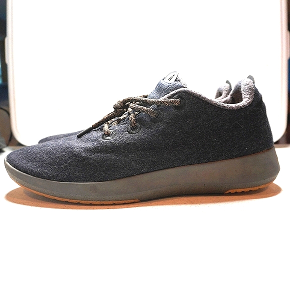 40) ALLBIRDS "Mizzle" Wool Runner Sz. 14